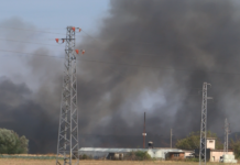 Пожар до с. Боянци