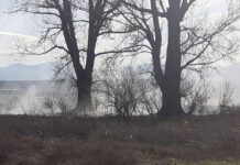 Пожари в с. Козаново и с. Боянци днес