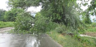 Основни правила за безопасност при бурен вятър