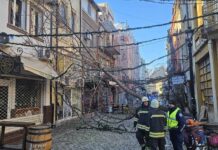 Съборено от силния вятър дърво затвори тази сутрин пътя Асеновград – село Червен