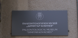 Палеонтологичният музей отбелязва „Деня на Земята“ с акция
