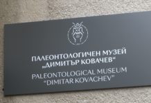 35 години от създаването на Палеонтологичен музей „Димитър Ковачев“