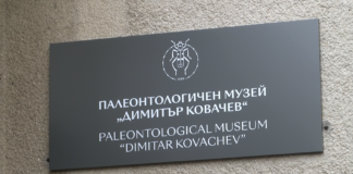 35 години от създаването на Палеонтологичен музей „Димитър Ковачев“