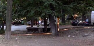 Недоволство сред асеновградчани от състоянието на парка на ул. „Цар Освободител“