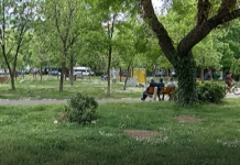 Извърши се пръскане против кръвосмучещи по парковете в Асеновград