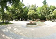 Стартира национална кампания за засаждане на 100 милиона дървета