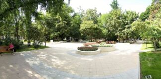 Стартира национална кампания за засаждане на 100 милиона дървета