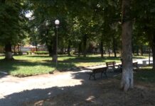 Акция срещу кърлежи в Асеновград