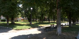 Акция срещу кърлежи в Асеновград