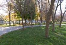 Трети проект за по-чист въздух в Асеновград