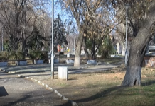 Започва дезинсекция и дезакаризация на зелени площи в Асеновград