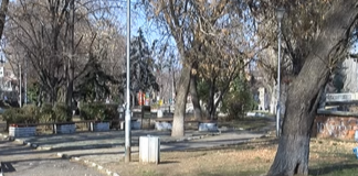 Започва дезинсекция и дезакаризация на зелени площи в Асеновград