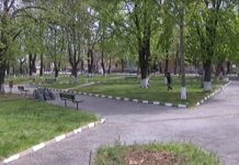 Отварят парковете за посещение след заповед на министъра, всеки кмет решава кога