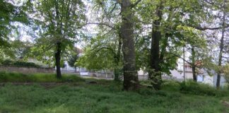 Три проекта в Асеновградско ще бъдат финансирани по тазгодишната НП „Чиста околна среда“