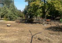 Парк „Орфей“ в Куклен се превръща в съвременно арт пространство за изяви и отдих