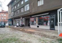 Отсечени дървета по ул.“Асенова крепост”