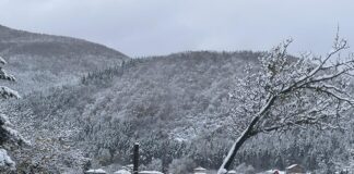 Прогнозата за неделя е за слънчево време в Асеновград