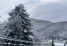 Първият сняг остави без ток населени места в община Асеновград