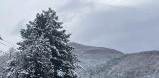 Първият сняг остави без ток населени места в община Асеновград