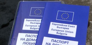 290 са регистрираните в срок домашни кучета в Асеновград