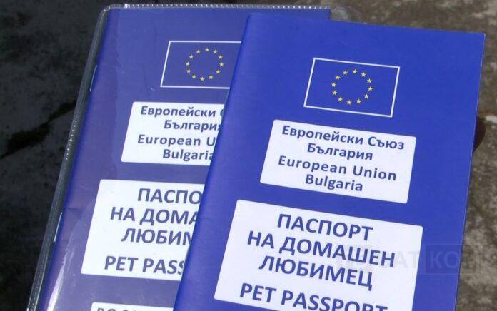 Паспорт на домашен любимец