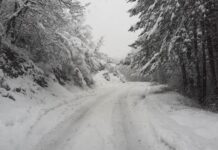 Половин метър сняг падна в планинските села в асеновградско