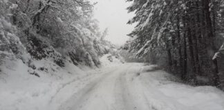 Половин метър сняг падна в планинските села в асеновградско