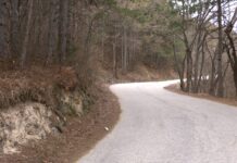 Трагичен инцидент! Велосипедист загина на пътя над Асенова крепост