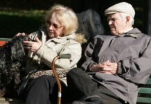 Изплащат пенсиите и добавките към тях в периода 9-20 ноември