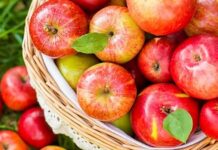 Петровден е един от силно тачените от народа ни празници, богат откъм обичаи и вярвания