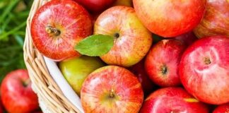 Петровден е един от силно тачените от народа ни празници, богат откъм обичаи и вярвания