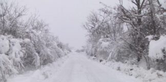 АПИ: От неделя се очакват снеговалежи и силен вятър. Шофьорите да карат внимателно