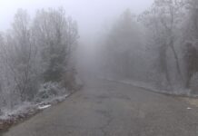 Предупрежденията за обилен снеговалеж в Пловдивско не се оправдаха