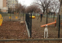 Нова площадка за кучета ще изграждат в „Тракия“ с помощта на дарители