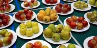 Отварят допълнителен прием по училищни схеми