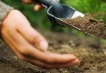 Днес е Световният ден на почвата