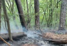 8000 декара загуба на гора е равносметката след големите пожари над селата Югово и Нареченски бани