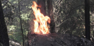 Обявиха пожароопасния сезон