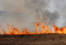 Седмица на пожарната безопасност