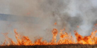 Седмица на пожарната безопасност