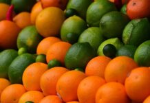 Близо 305 тона храни от трети страни задържа БАБХ през ноември