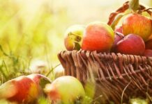 От днес започват Петровите пости