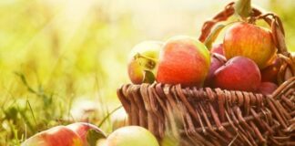 От днес започват Петровите пости