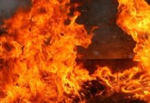 БМВ изгоря при пожар в източната промишлена зона на Асеновград