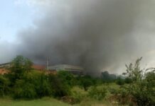 РИОСВ – Пловдив сформира спешни екипи за пожара в Шишманци