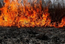 Пожарите продължават и на територията на община Асеновград