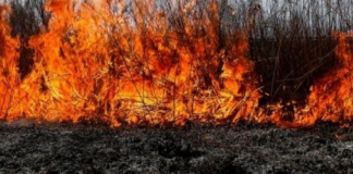 Пожарите продължават и на територията на община Асеновград