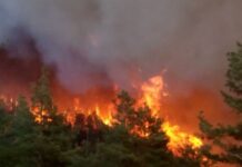 Ръководството на Министерство на земеделието, храните и горите припомня да пазим горите от пожари