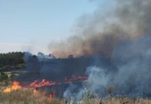 Зачестяват пожарите в суха растителност