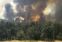 РД ПБЗН-Пловдив: Не палете огън по никаква причина!